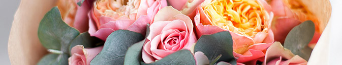 купить цветы Индия от Grand-flora